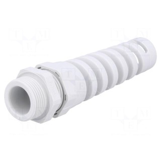 Cable gland | with strain relief | PG16 | IP68 | Mat: polyamide | grey