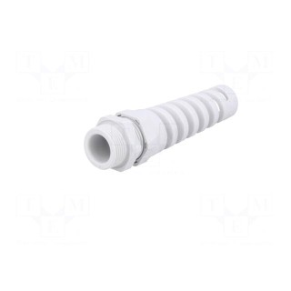 Cable gland | with strain relief | PG16 | IP68 | polyamide | grey