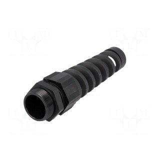 Cable gland | with strain relief | PG21 | 1,5 | IP68 | Mat: polyamide