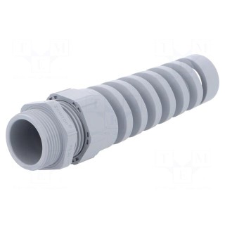 Cable gland | with strain relief | PG21 | IP68 | Mat: polyamide