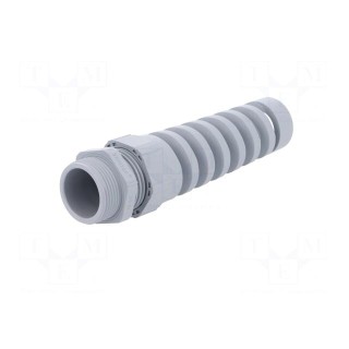 Cable gland | with strain relief | PG21 | IP68 | Mat: polyamide