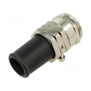 Cable gland | with strain relief | PG36 | IP65 | brass | SKINDICHT® SR