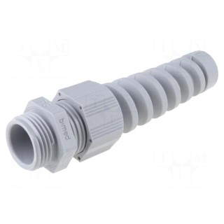 Cable gland | with strain relief | PG11 | 1,5 | IP68 | Mat: polyamide