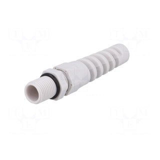 Cable gland | with strain relief | PG7 | IP68 | Mat: polyamide | grey