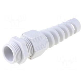 Cable gland | with strain relief | PG11 | 1.5 | IP68 | polyamide | grey