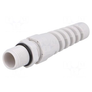 Cable gland | with strain relief | PG9 | IP68 | polyamide | grey