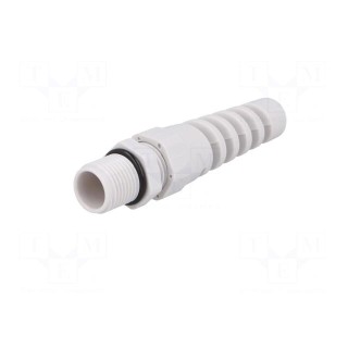 Cable gland | with strain relief | PG9 | IP68 | polyamide | grey