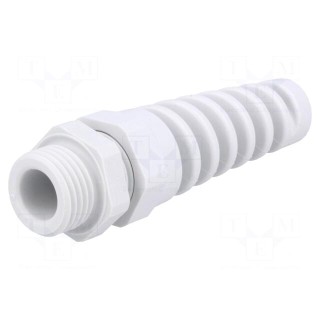 Cable gland | with strain relief | PG9 | IP68 | Mat: polyamide | grey