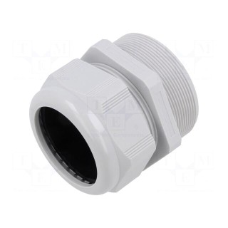 Cable gland | without nut | M75 | 2 | IP68 | polyamide | light grey