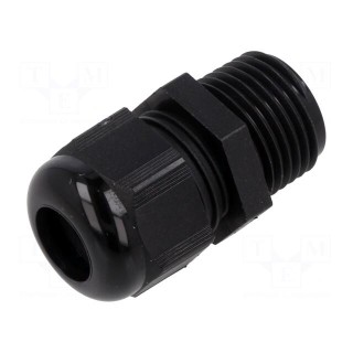 Cable gland | without nut | NPT1/2" | IP68 | polyamide | black