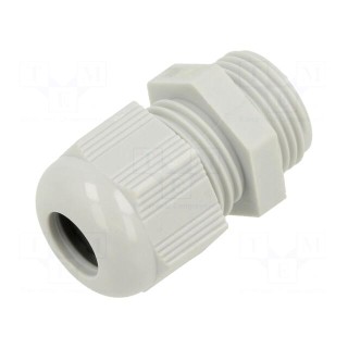 Cable gland | without nut | PG11 | IP68 | polyamide | light grey