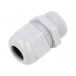 Cable gland | without nut | PG13,5 | IP68 | polyamide | light grey