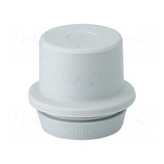 Grommet | elastomer thermoplastic TPE | -25÷35°C | 6÷13mm | IP55