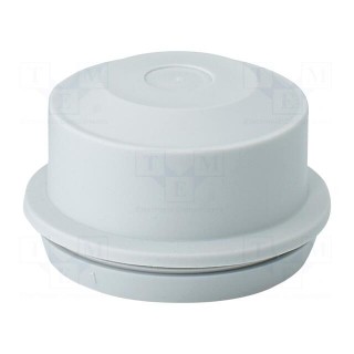 Grommet | elastomer thermoplastic TPE | light grey | 11÷30mm | IP65
