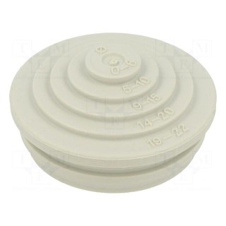 Grommet | elastomer thermoplastic TPE | light grey | Øcable: 0÷22mm