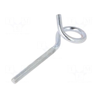 Hook | ring | steel | zinc | 160mm