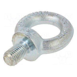 Lifting eye bolt | M24x36 | Head: eye | steel | zinc | DIN 580 | Ø: 50mm
