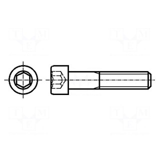 Screw | M2x5 | DIN: 912 | Head: cheese head | imbus | A2 stainless steel