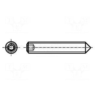 Screw | M3x8 | 0.5 | Head: without head | hex key | HEX 1,5mm | steel
