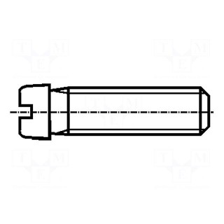 Screw | M2x6 | Head: cheese head | slotted | steel | zinc | 0,5mm