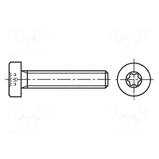 Screw | M4x10 | 0.7 | Head: cheese head | Torx® | TX20 | steel | zinc