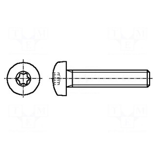 Screw | M5x8 | 0.8 | Head: button | Torx® | TX25 | A2 stainless steel
