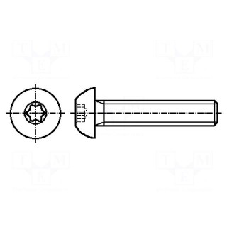 Screw | M3x10 | Head: button | Torx® | steel | zinc | TX10