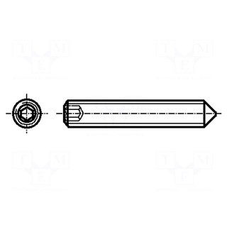 Screw | M3x6 | 0.5 | Head: without head | hex key | HEX 1,5mm | steel