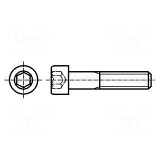 Screw | M10x260 | 1.5 | Head: cheese head | hex key | HEX 8mm | steel