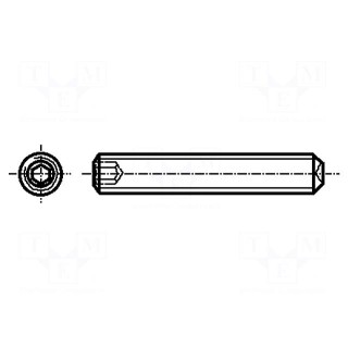 Screw | M3x4 | 0.5 | Head: without head | hex key | HEX 1,5mm | steel