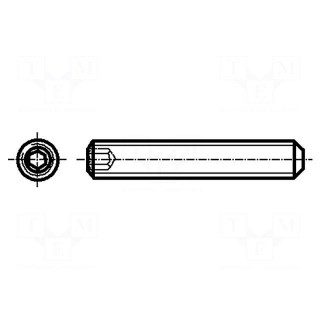 Screw | M4x4 | DIN: 913 | Head: without head | imbus | HEX 2mm