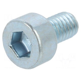 Screw | M3x5 | 0.5 | Head: cheese head | hex key | HEX 2,5mm | steel | zinc