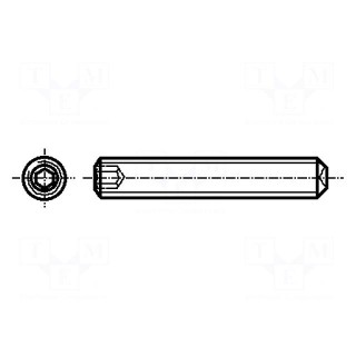 Screw | M3x3 | 0.5 | Head: without head | hex key | HEX 1,5mm | steel