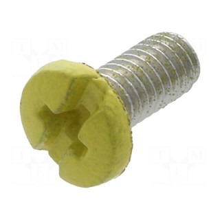 Screw | M3x6 | 0.5 | Head: cheese head | Phillips,slotted | brass