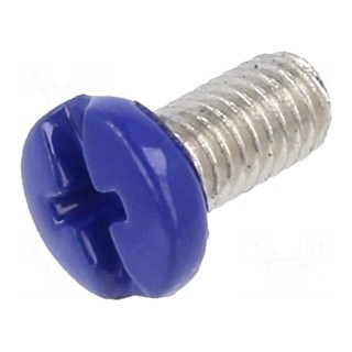 Screw | M3x6 | 0.5 | Head: cheese head | Phillips,slotted | brass | blue