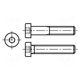 Screw | M6x40 | DIN: 7984 | Head: cheese head | imbus | steel | HEX 4mm