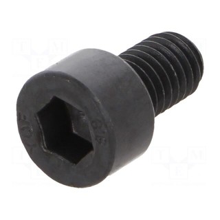 Screw | M5x8 | 0.8 | Head: cheese head | hex key | HEX 4mm | steel