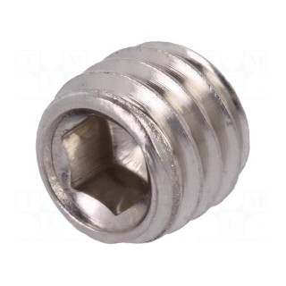 Screw | M6x5 | 1 | Head: without head | hex key | HEX 3mm | DIN 913