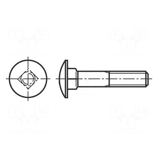 Screw | M8x70 | 1.25 | Head: button | A2 stainless steel | DIN 603 | 22mm