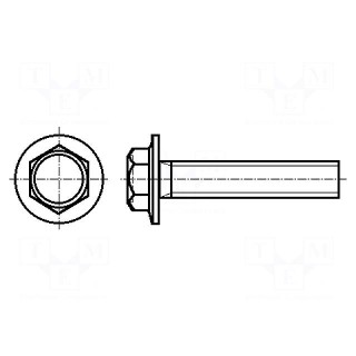 Screw | with flange | M4x12 | 0.7 | Head: hexagonal | steel | zinc