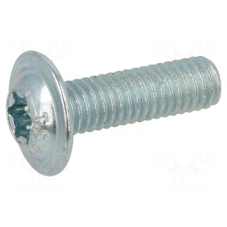 Screw | with flange | M6x20 | 1 | Head: button | Torx® | TX30 | steel | zinc