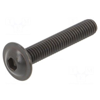 Screw | with flange | M6x35 | 1 | Head: button | hex key | HEX 4mm | steel