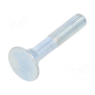 Screw | with flange nut | M10x60 | 1.5 | Head: flat | steel | zinc | 26mm