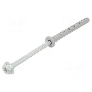 Plastic anchor | with screw | 10x100 | zinc-plated steel | SXRL-FUS