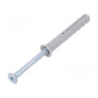 Plastic anchor | with screw | 6x40 | zinc-plated steel | N | 100pcs.