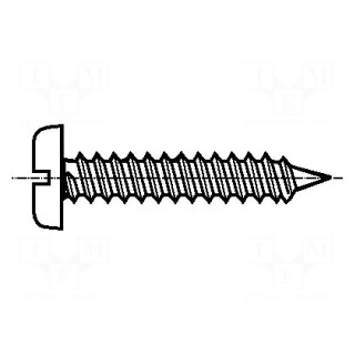 Screw | 4.8x38 | Head: cheese head | slotted | 1,2mm | steel | zinc