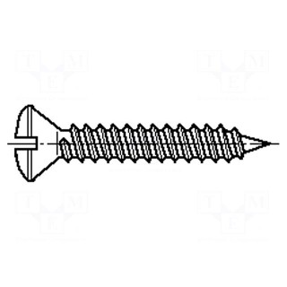 Screw | 3,5x19 | Head: countersunk | slotted | hardened steel | zinc