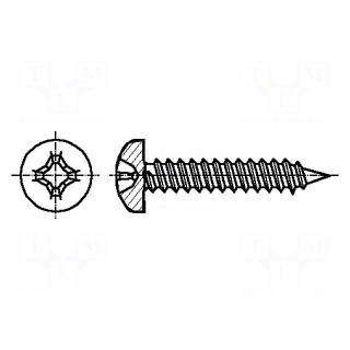 Screw | 6,3x25 | Head: cheese head | Phillips | A2 stainless steel