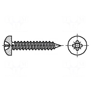 Screw | 3,5x16 | Head: cheese head | Pozidriv | A2 stainless steel