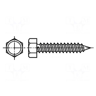 Screw | 4.8x19 | Head: hexagonal | none | 8mm | hardened steel | zinc